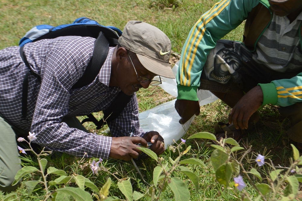 Biodiversity Study