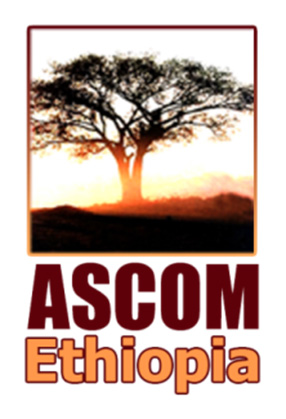 Environmental Impact Assessment for ASCOM Mining Ethiopia Dish Mountain Gold Project